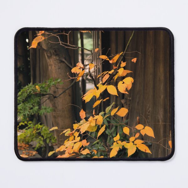 Item preview, Whispers of Autumn by the Wooden House designed and sold by Chen He.