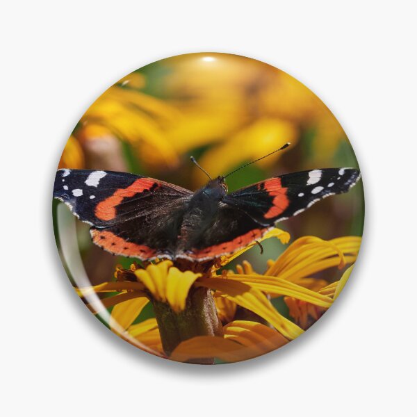 Item preview, Red Admiral on summer ragwort designed and sold by Jouko Lehto Photography.