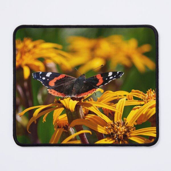 Item preview, Red Admiral on summer ragwort designed and sold by Jouko Lehto Photography.