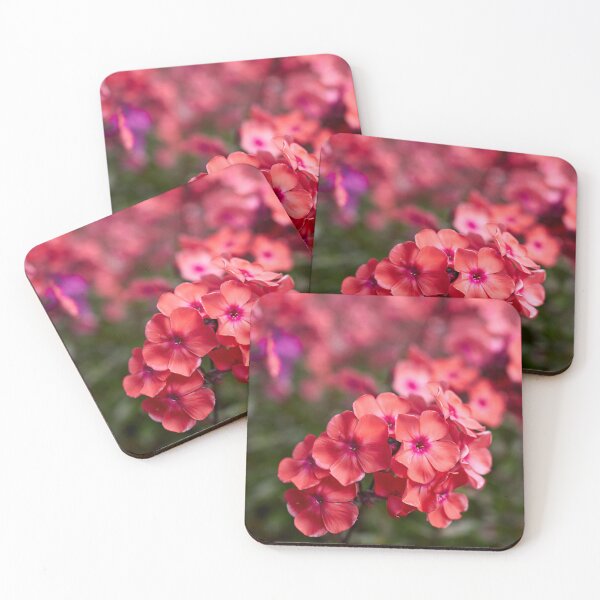 Item preview, Red as a Phlox designed and sold by Jouko Lehto Photography.