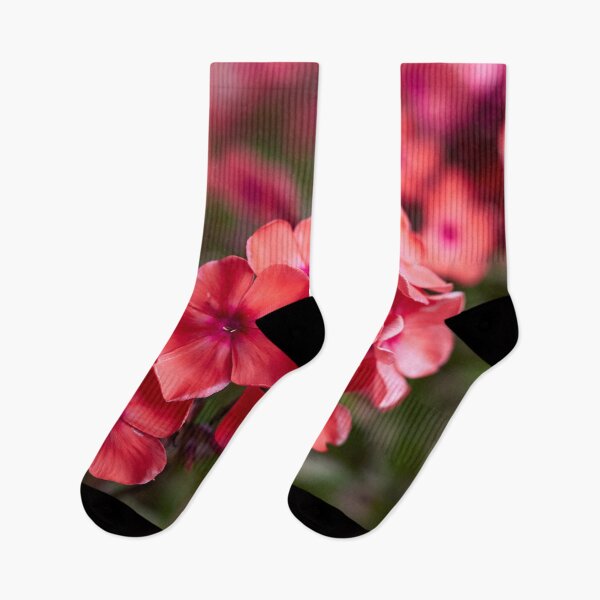 Item preview, Red as a Phlox designed and sold by Jouko Lehto Photography.