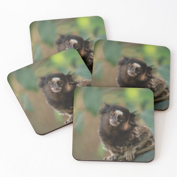 Item preview, Marmoset Monkey Portrait in São Paulo, Brazil designed and sold by Sonny Vermeer.