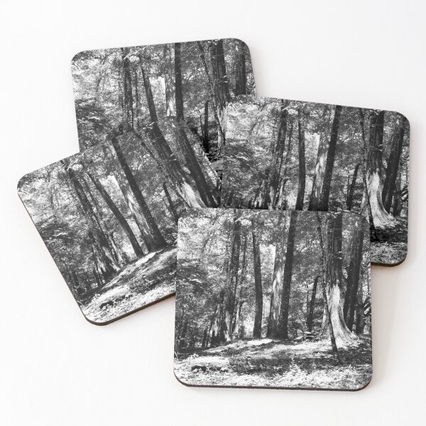 Item preview, Black and White Woods designed and sold by Kyra Rayne Photos.