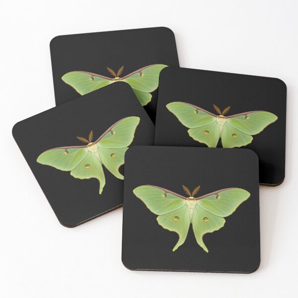 Item preview, Luna moth. designed and sold by moths-minor.