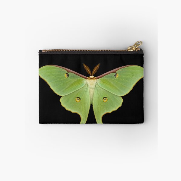 Item preview, Luna moth. designed and sold by moths-minor.