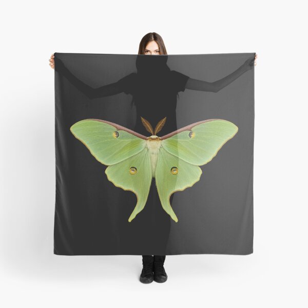 Item preview, Luna moth. designed and sold by moths-minor.