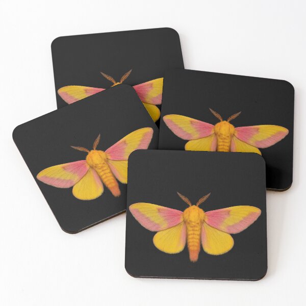 Item preview, Rosy maple moth. designed and sold by moths-minor.