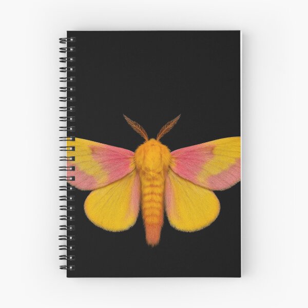 Item preview, Rosy maple moth. designed and sold by moths-minor.