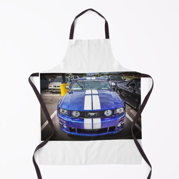 Item preview, 2008 Blue Ford Shelby Mustang Roush Stage 2 X803 designed and sold by RichFrancoCars.