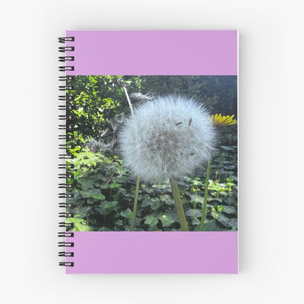Item preview, „Pusteblume – Leichtigkeit der Natur“: „Dandelion – Lightness of Nature“ designed and sold by Yaroplanner.