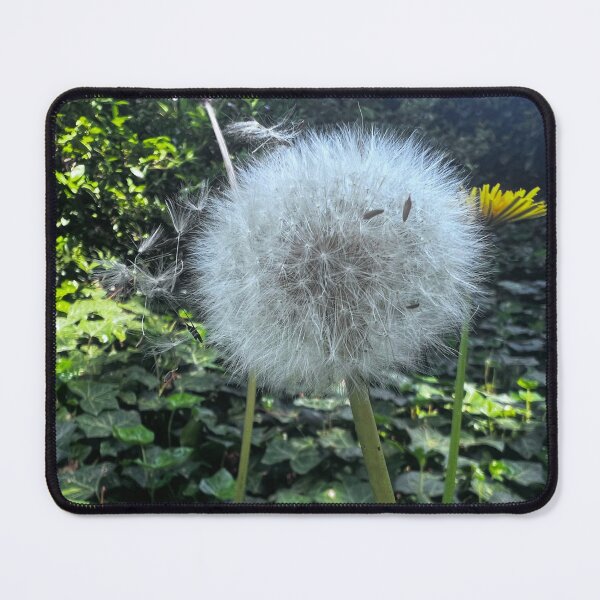 Item preview, „Pusteblume – Leichtigkeit der Natur“: „Dandelion – Lightness of Nature“ designed and sold by Yaroplanner.