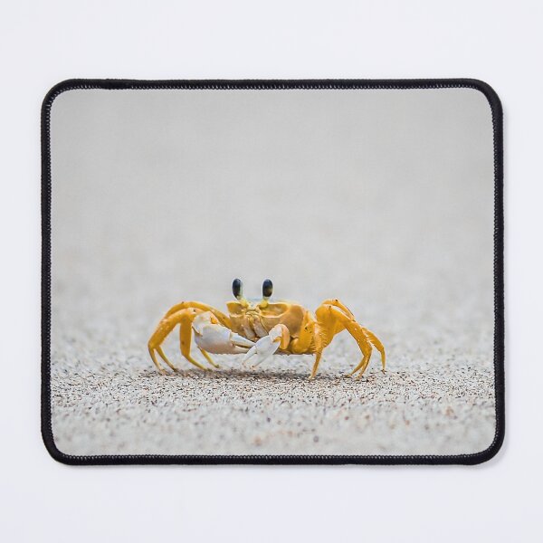 Item preview, crabby designed and sold by DriftandBloom.