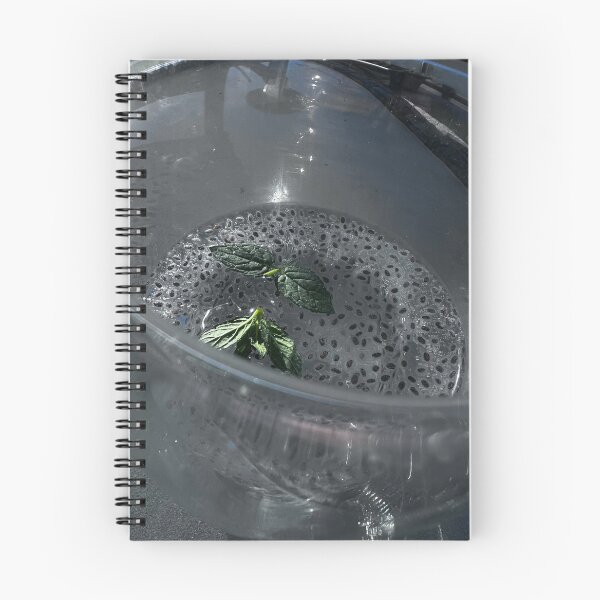 Item preview, Healthy, Drink , „Erfrischendes Getränk – Wasser mit Chiasamen und Minze“: „Refreshing Drink – Water with Chia Seeds and Mint“ designed and sold by Yaroplanner.