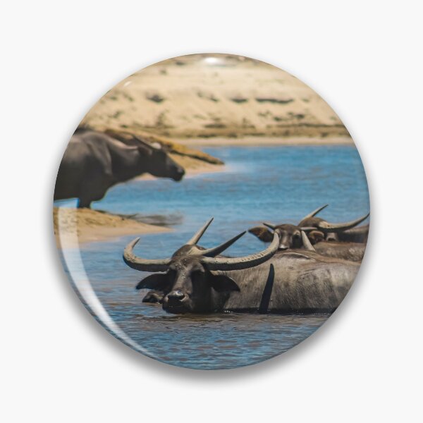 Item preview, Cooling Water Buffalos designed and sold by DriftandBloom.