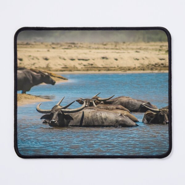 Item preview, Cooling Water Buffalos designed and sold by DriftandBloom.