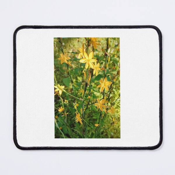 Item preview, Flowers of the field designed and sold by Elviazul.
