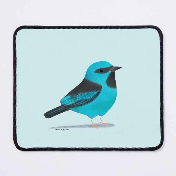 Item preview, Blue Dacnis designed and sold by julianamotzko.