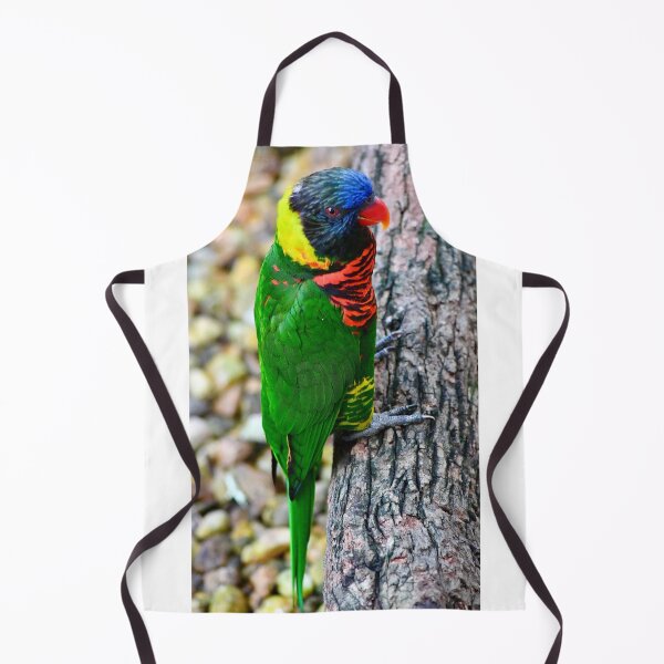 Item preview, Lorikeet on a Perch designed and sold by richardbryce.