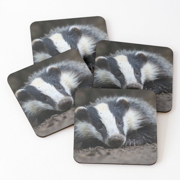 Item preview, Badger Cub designed and sold by ROSS LAWFORD.