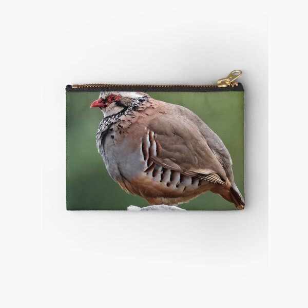 Item preview, Male red-legged partridge designed and sold by Tom McPherson Photography.