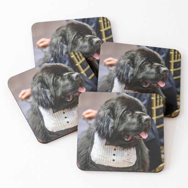 Item preview, Master Mulligan 4 designed and sold by Jayne Ion.