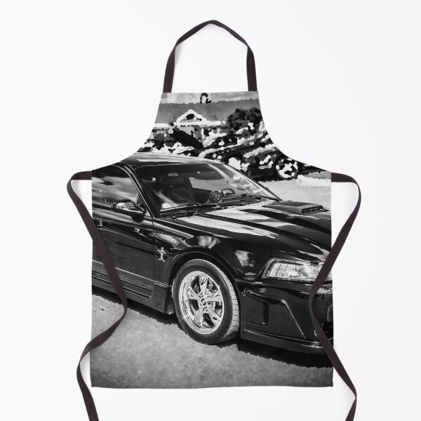 Item preview, 2003 Black Ford Mach 1 Mustang X100 designed and sold by RichFrancoCars.
