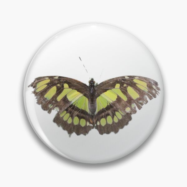 Item preview, Singular Malachite Butterfly  designed and sold by Bethany's Point Of View .