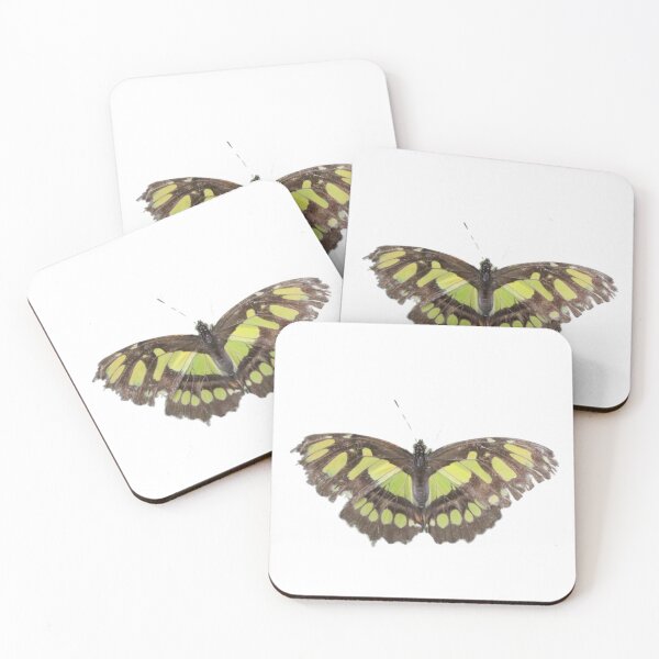 Item preview, Singular Malachite Butterfly  designed and sold by Bethany's Point Of View .