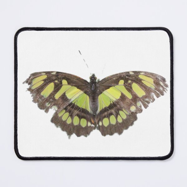 Item preview, Singular Malachite Butterfly  designed and sold by Bethany's Point Of View .