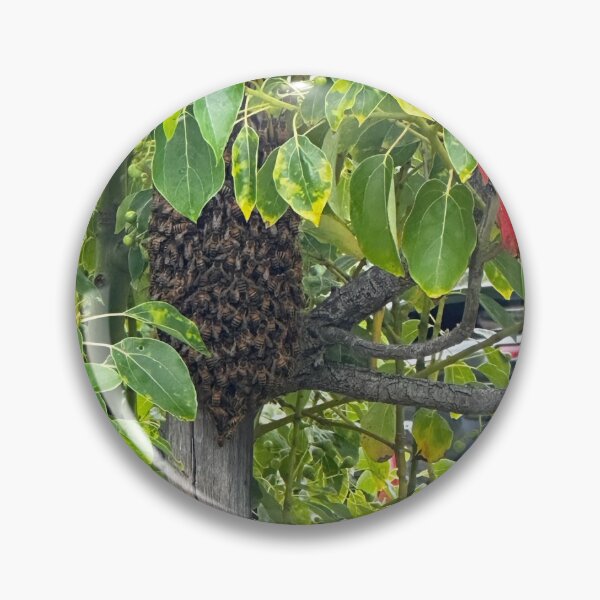 Item preview, Bees for a Week  designed and sold by SHY Designs .