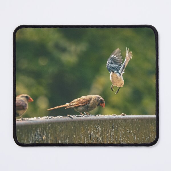 Item preview, Birds! designed and sold by Del Phoenix Photography.