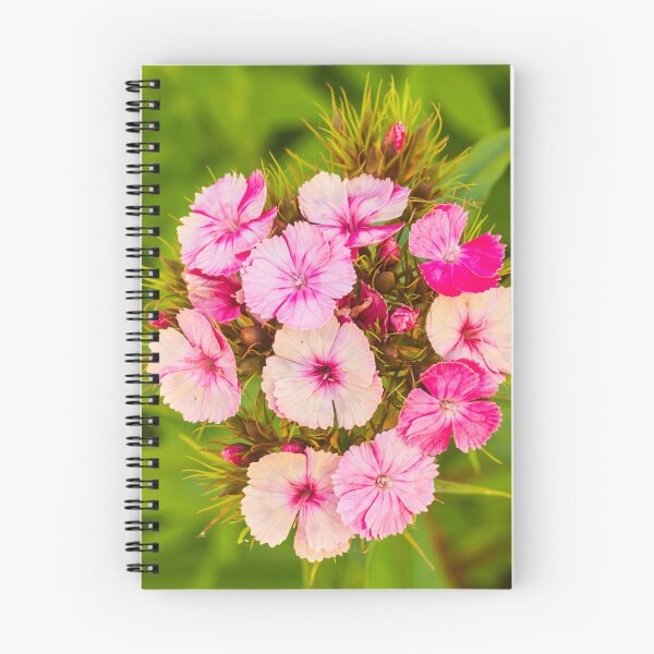 Item preview, pink flower posy designed and sold by Esther Frieda.