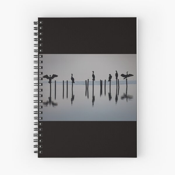 Item preview, Double-crested Cormorant Silhouette   designed and sold by Shannon Emmel .