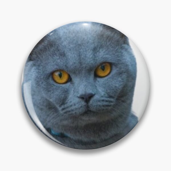 Item preview, Soft Focus, Sharp Eyes designed and sold by BRSTORE1.
