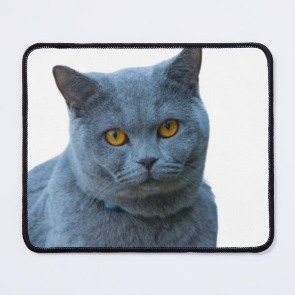 Item preview, Soft Focus, Sharp Eyes designed and sold by BRSTORE1.