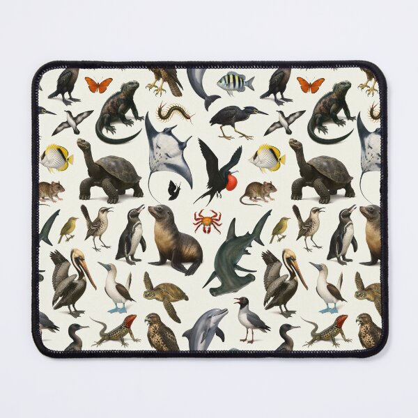 Item preview, Animals of the Galapagos Islands Retro Illustration Chart designed and sold by kakarikihill.