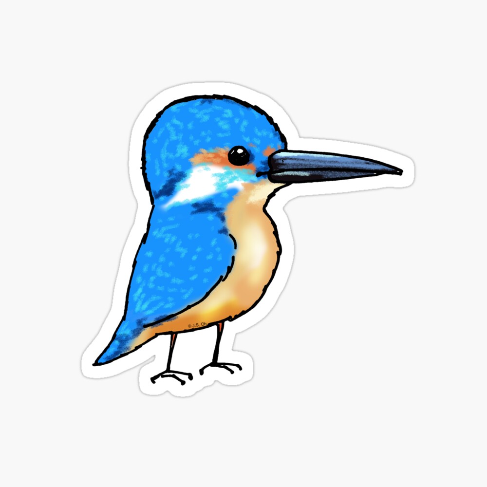 Kingfisher funny bird illustration | Essential T-Shirt