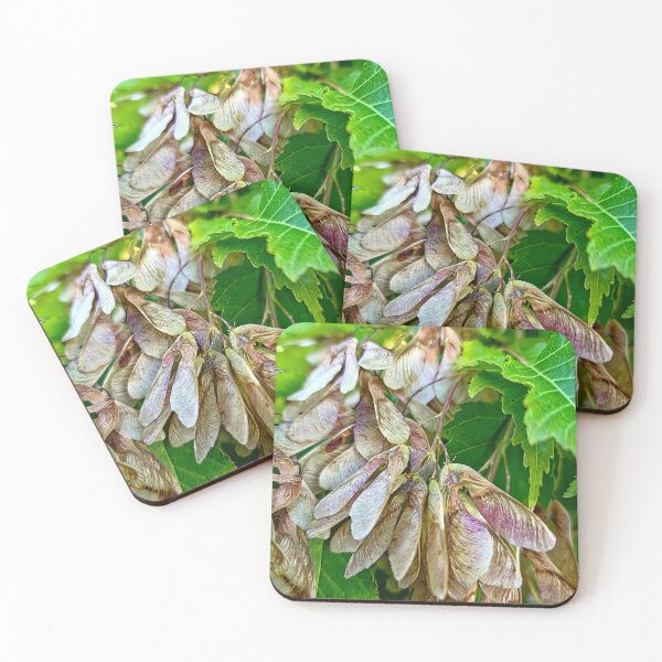 Item preview, Whirlybirds designed and sold by Betsy Phillips.