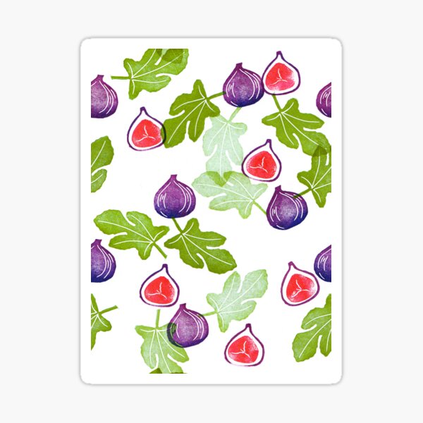 "figs" Sticker for Sale by HoneyGherkin Redbubble