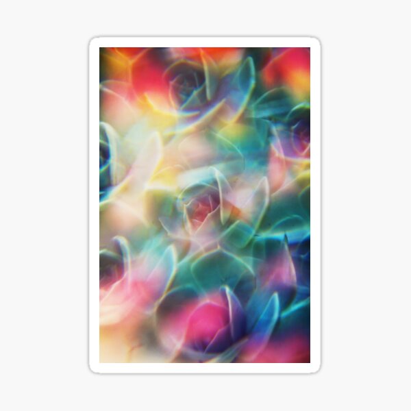 Succulent photographed through prism filter Sticker