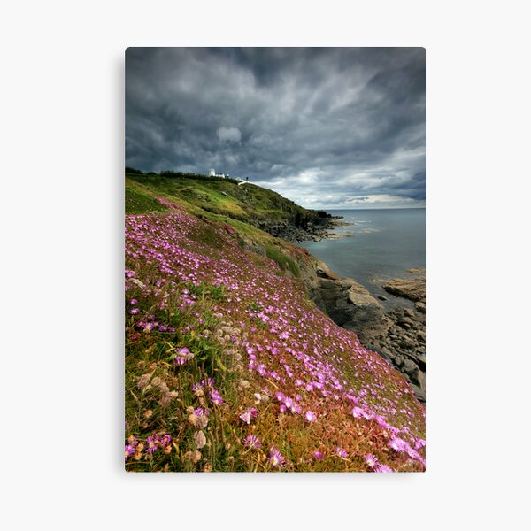 Item preview, Cornwall : Flowering Lizard 2 designed and sold by Angie Latham.