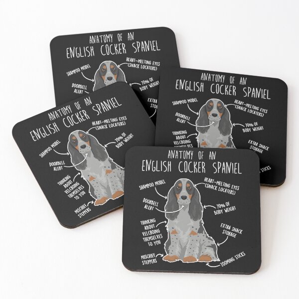 Item preview, Blue Roan and Tan English Cocker Spaniel Dog Anatomy designed and sold by Clara Hollins.