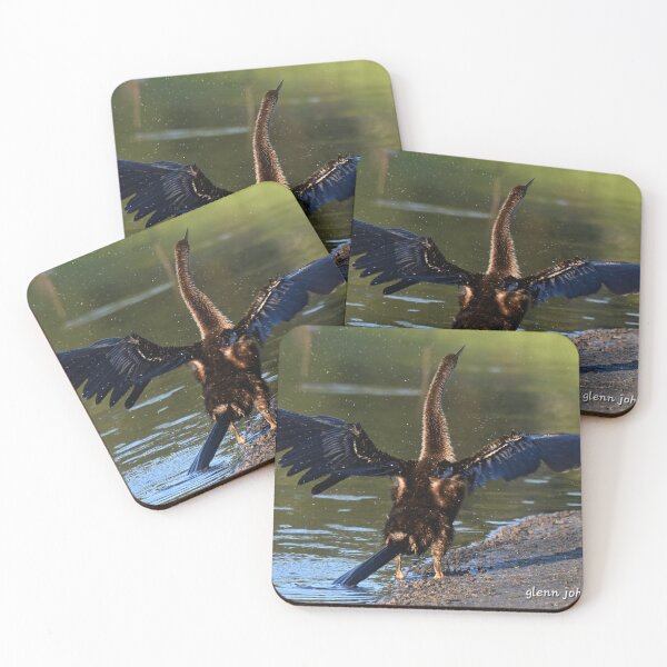 Item preview, Anhinga drying its wings  designed and sold by Glennphotos.