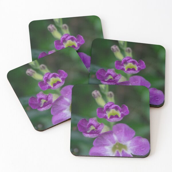 Item preview, Ganges Primrose or Chinese Violet designed and sold by ROSE ANN BANILAR.