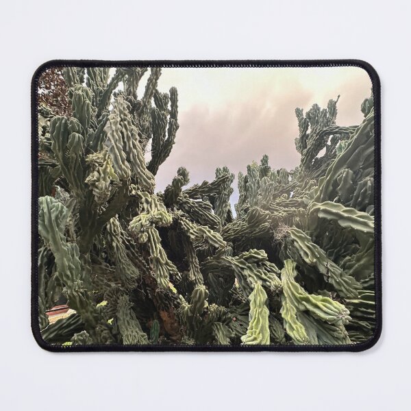 Item preview, The Cactus is ALIVE designed and sold by Easley-Does-It.
