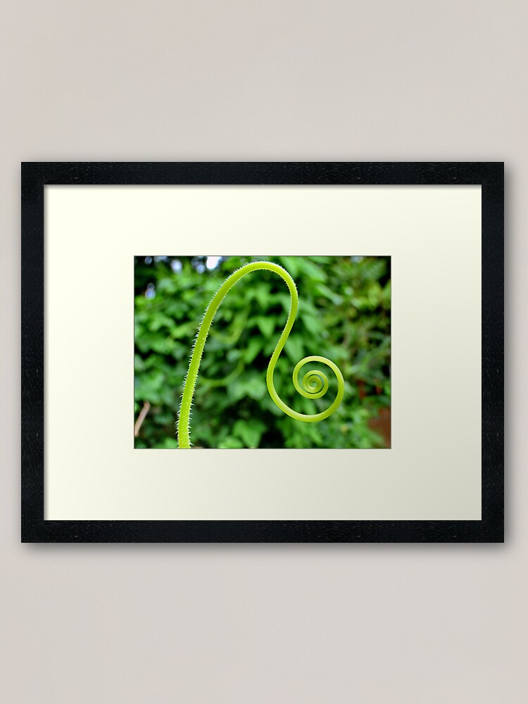 Thumbnail 1 of 7, Framed Art Print, Pumpkin designed and sold by JohnSpies.