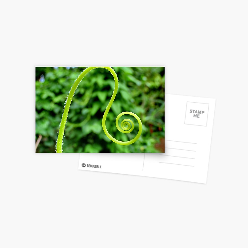 Item preview, Postcard designed and sold by JohnSpies.