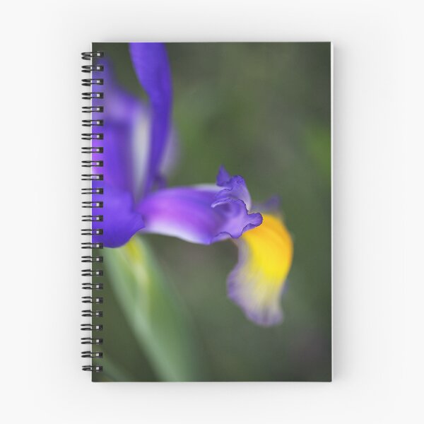 Item preview, Delicate Iris Blooming designed and sold by Joy Watson - Natural Light Photography .