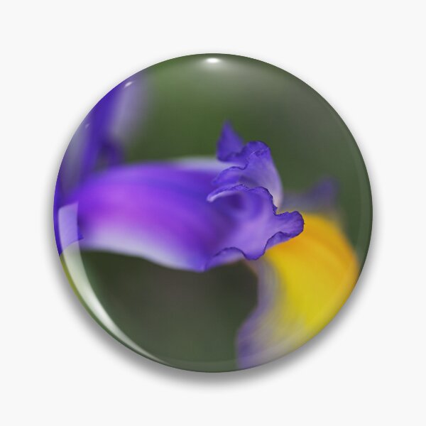 Item preview, Delicate Iris Blooming designed and sold by Joy Watson - Natural Light Photography .