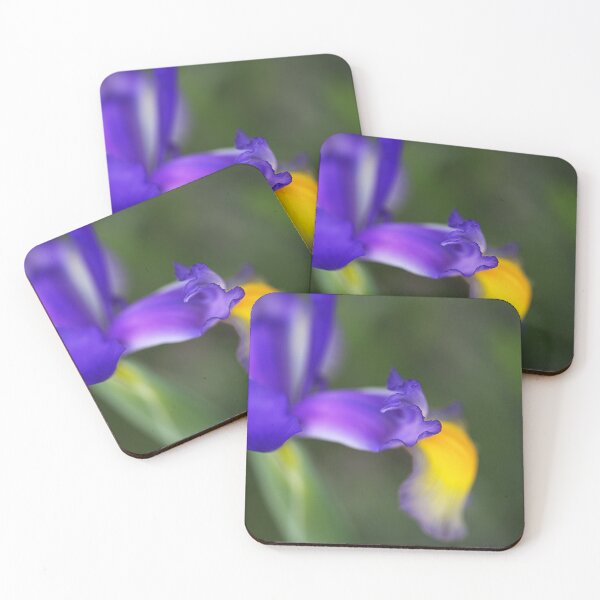Item preview, Delicate Iris Blooming designed and sold by Joy Watson - Natural Light Photography .
